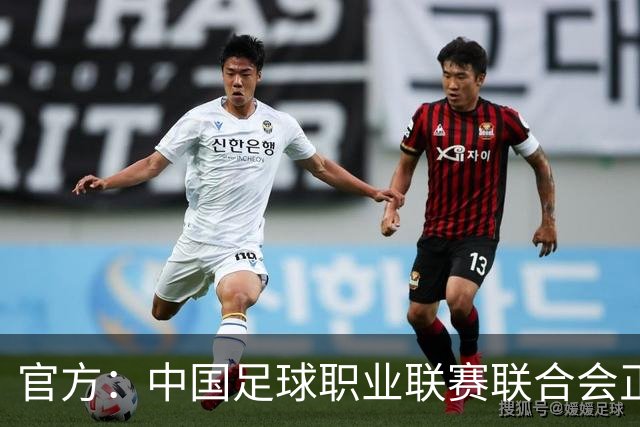 官方：中国足球职业联赛联合会正式成立